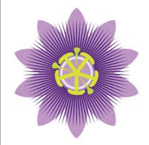 Foto de botica passiflora