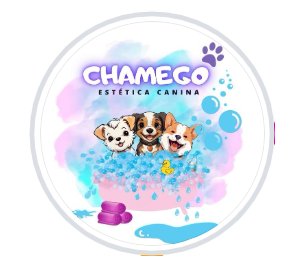 Foto de Chamego Pet Banho e Tosa