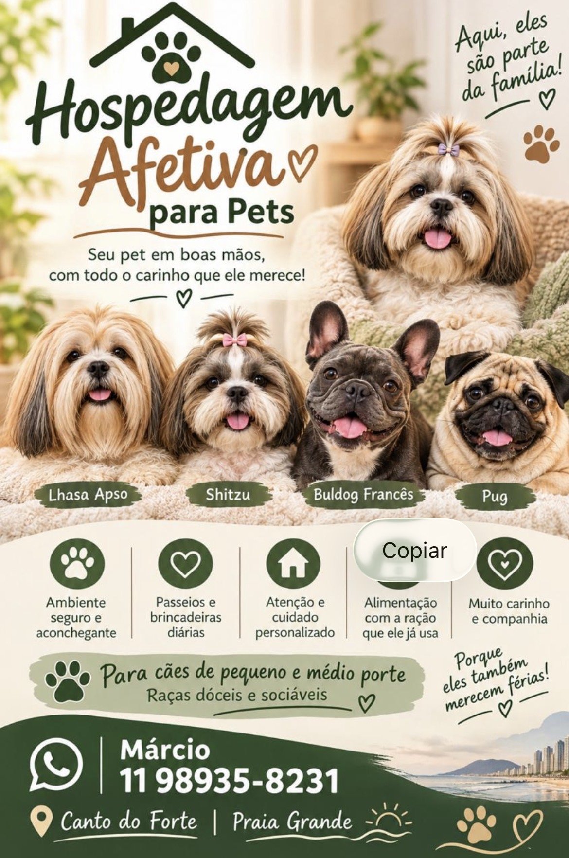 Foto de MF hospedagem afetiva de pet