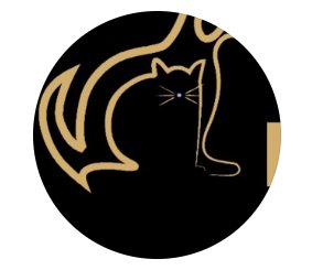 Foto de Pet shop Patinhas de Ouro